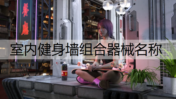 室内健身墙组合器械名称