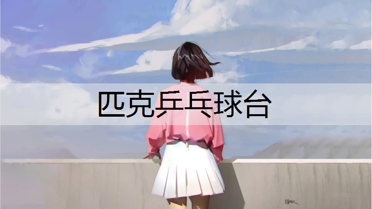 匹克乒乓球台
