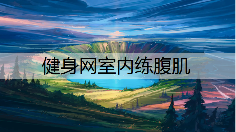 健身网室内练腹肌