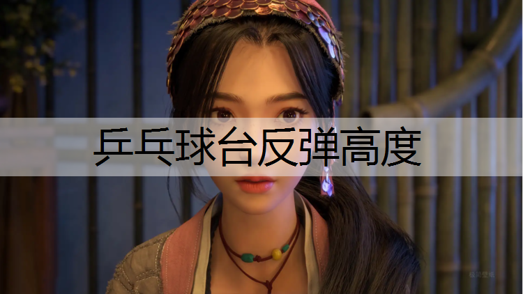 乒乓球台反弹高度