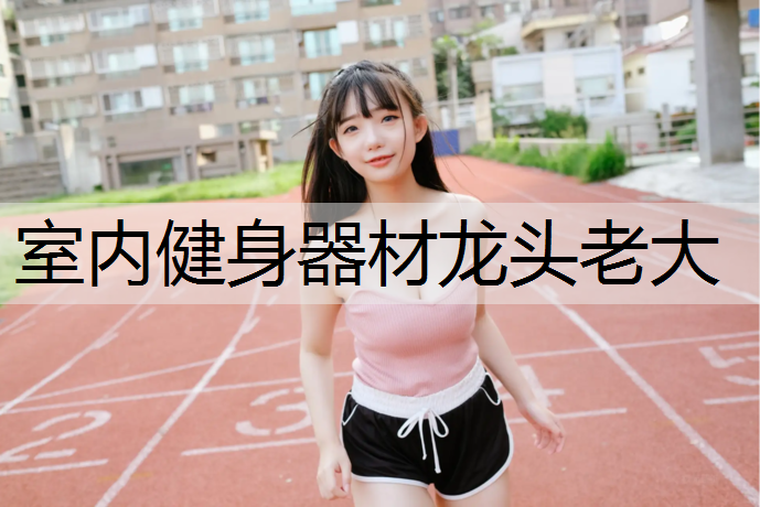 室内健身器材龙头老大