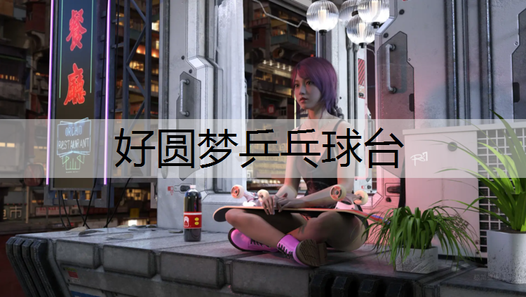 好圆梦乒乓球台