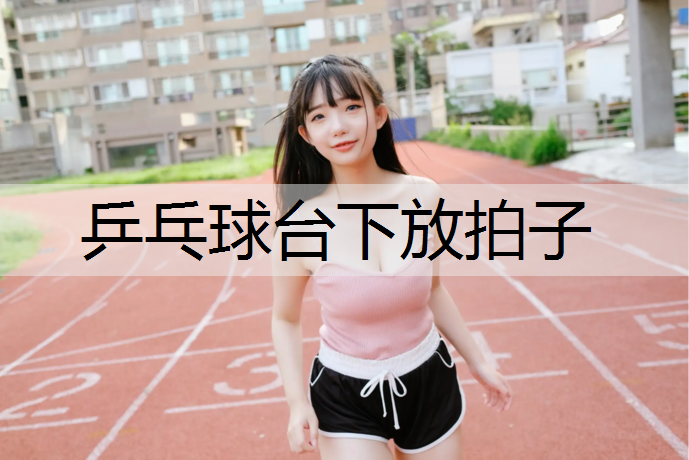 乒乓球台下放拍子