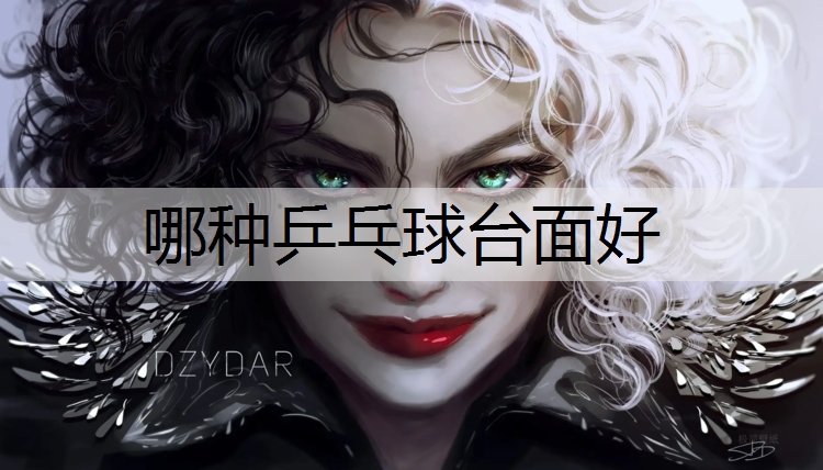 哪种乒乓球台面好