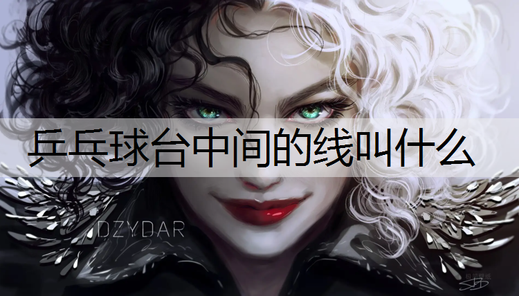 乒乓球台中间的线叫什么