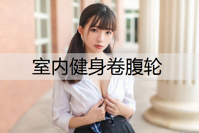 室内健身卷腹轮