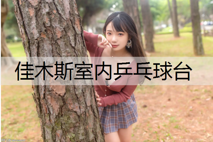 佳木斯室内乒乓球台