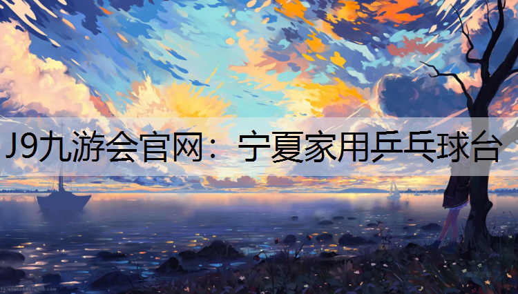 宁夏家用乒乓球台
