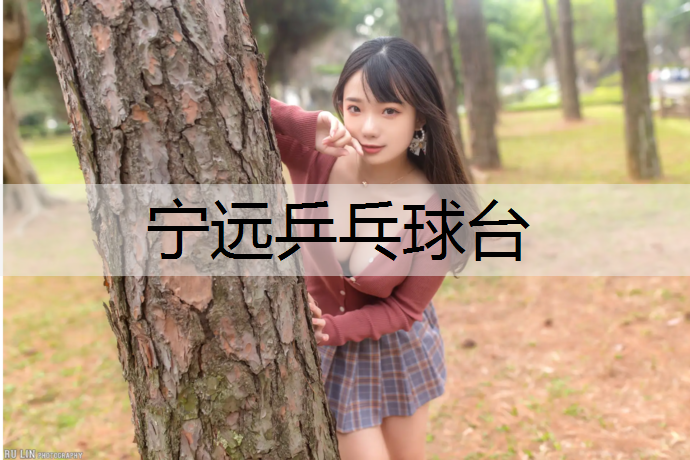 宁远乒乓球台