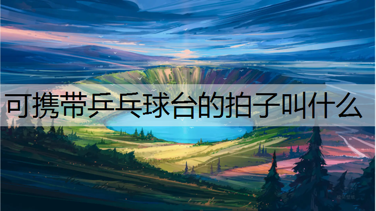 可携带乒乓球台的拍子叫什么