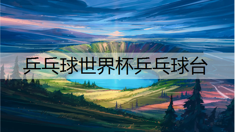 乒乓球世界杯乒乓球台